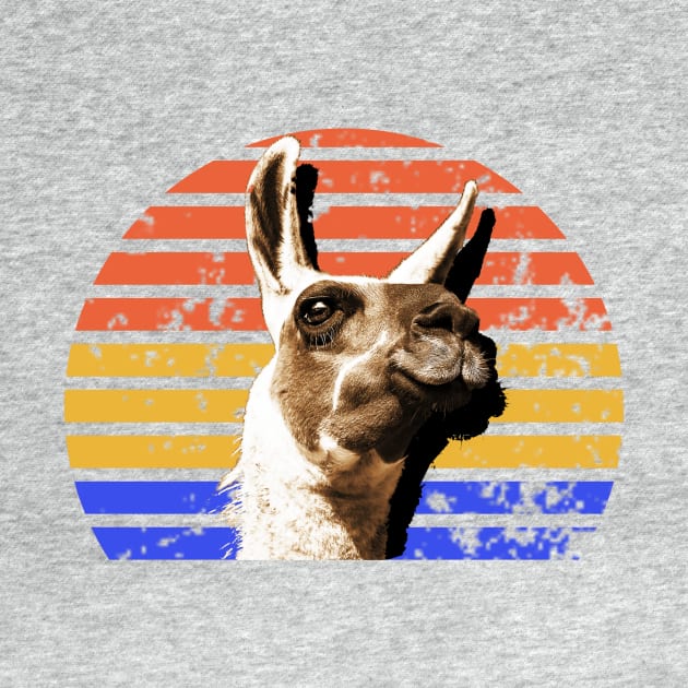 Funny Llama Alpaca Shirt by spiralrewind